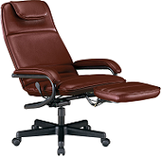 Executive Recliner