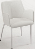 Contemporary Arm Chair