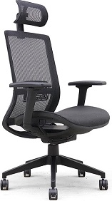 Executive Mesh Task Chair